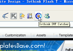 Sothink SWF Catcher is a free extension to capture and save Flash from IE.